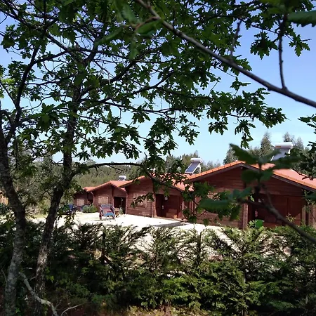 Cozy In 56 M² With Shared Pool Apartmán Figueiro Dos Vinhos