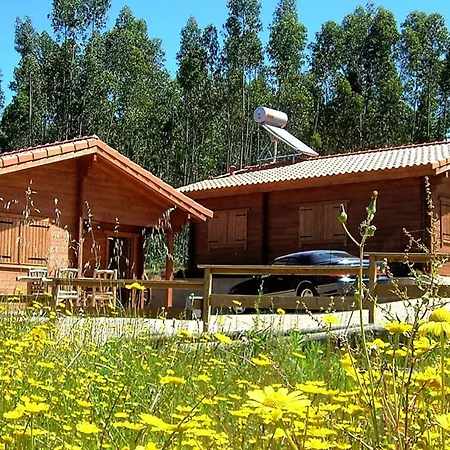 Cozy In 56 M² With Shared Pool Apartmán Figueiro Dos Vinhos